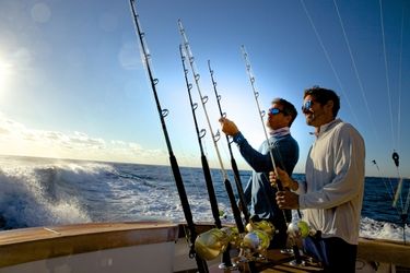 See Why The Palm Beaches Are a Top Destination for Anglers Worldwide